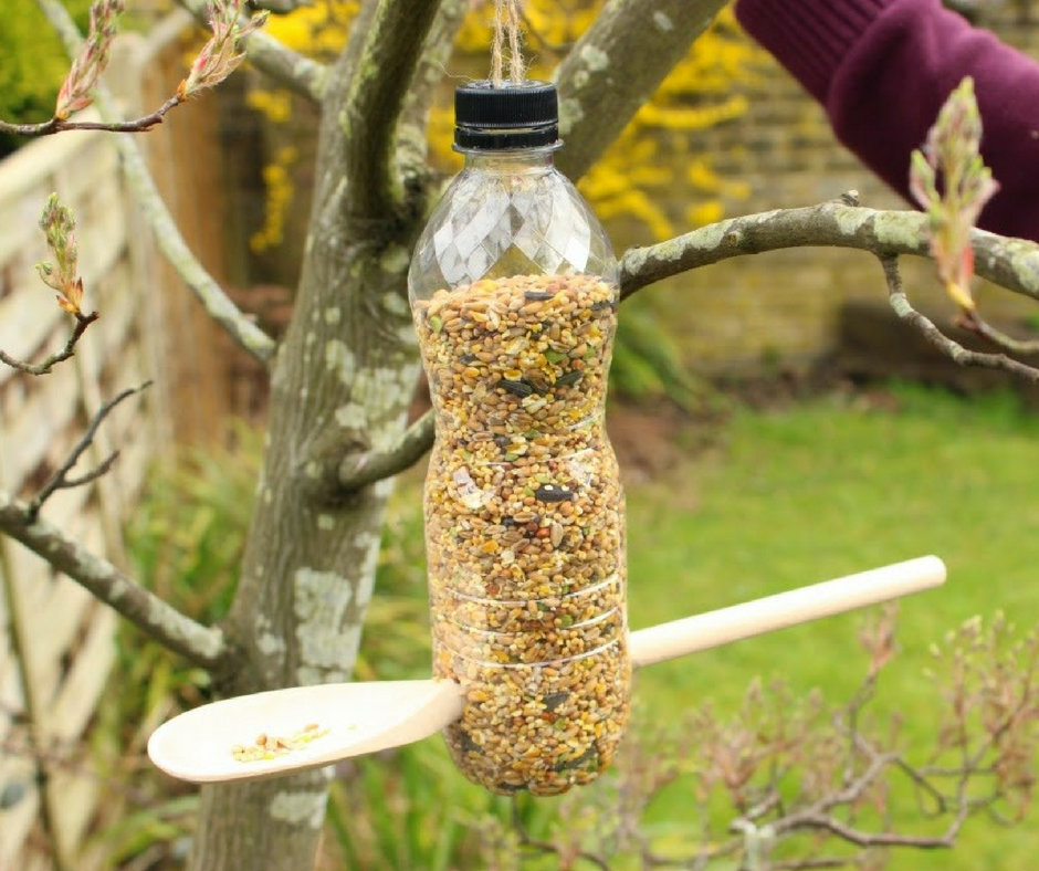 Alimentador para pájaros con botella de plástico - La Tienda Home